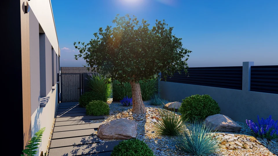 Rendu 3D : olivier, rochers et graminées dans un jardin sec