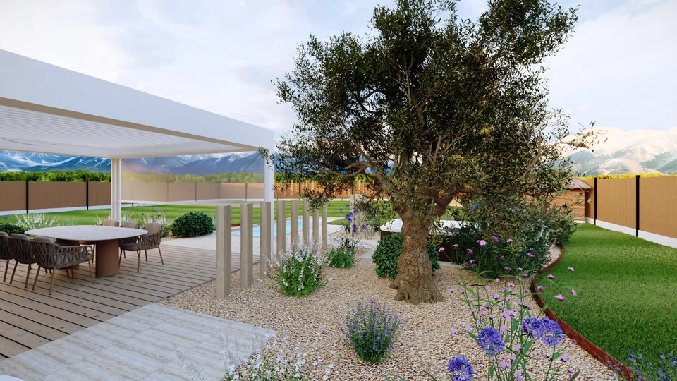 Jardin conçu en 3D : olivier et jardin sec au bord de la terrasse